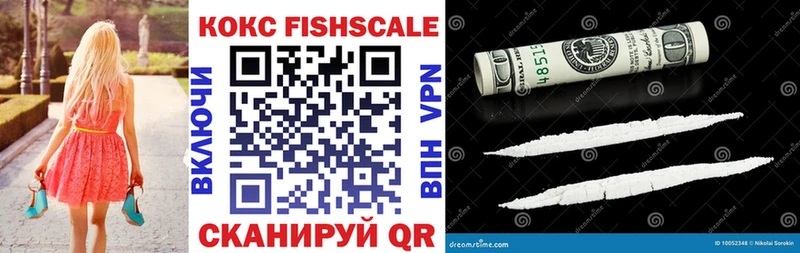где купить   Заозёрск  COCAIN Fish Scale 