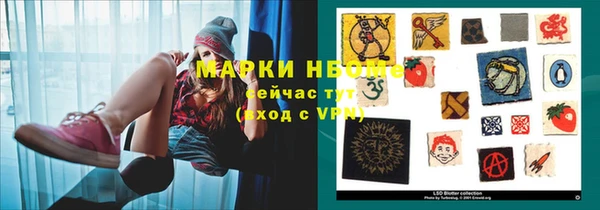 шишки Володарск