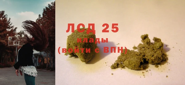 шишки Володарск