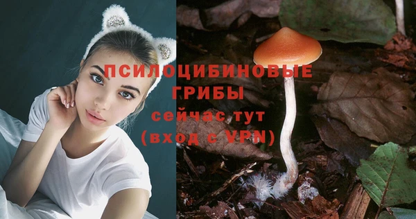 СК Волосово