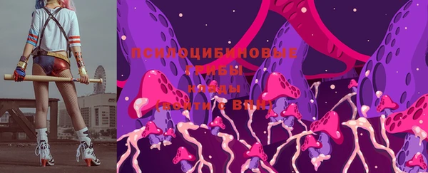 гидра Новозыбков
