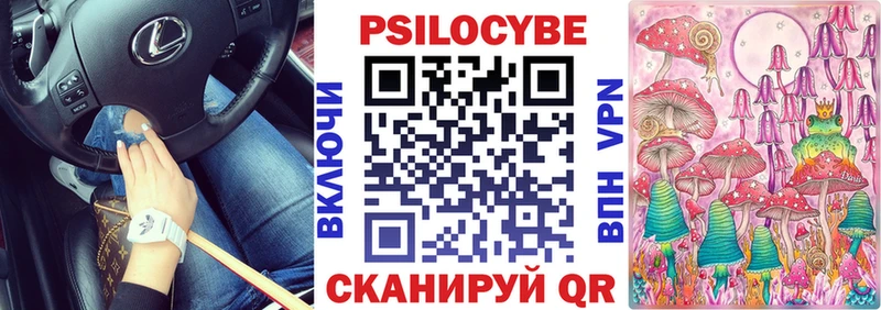 купить   Заозёрск  кракен онион  Галлюциногенные грибы Psilocybine cubensis 