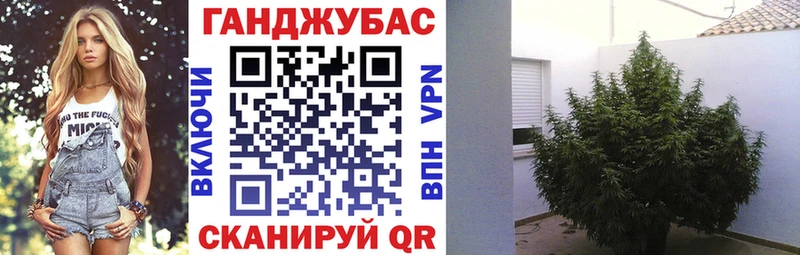 shop как зайти  OMG рабочий сайт  Заозёрск  где купить наркоту  Каннабис Ganja 